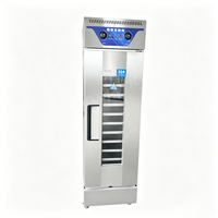 Armoire de Fermentation Professionnelle en Acier Inoxydable pour Pâte à Pain, 13 Plateaux, pour Boulangerie
