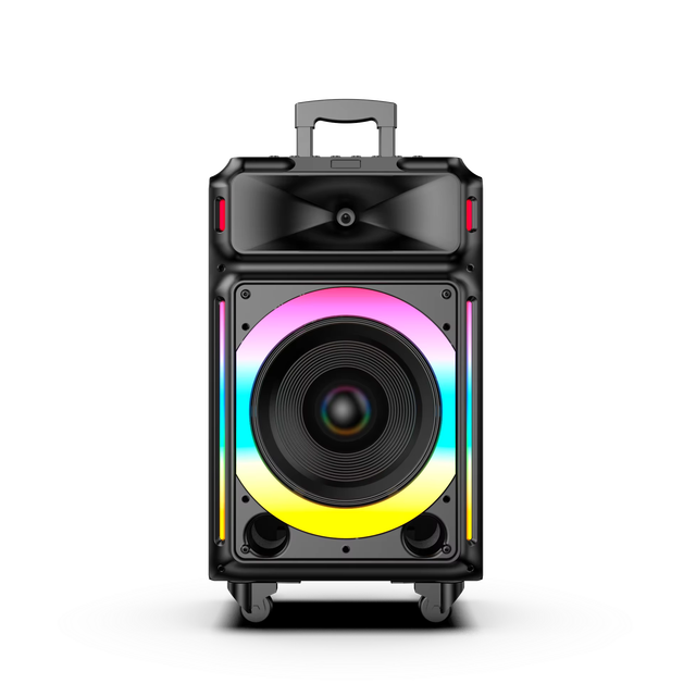 Portable 12'' RGB LED Lighting Trolley Speaker for Home Theatre Mobile Phone & Outdoor Stage Parties