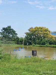 160kg automatique poisson mangeoire pour animaux flottant grand étang poisson alimentation Machine crevettes mangeoire avec contrôle du temps - Product Image 6