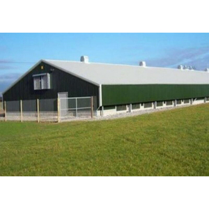 Singola larghezza strato di uovo allevamento di pollame fattoria fienile prefabbricato casa di gallina per 10000 polli - Product Image 5