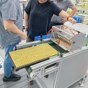 Piantatrice di precisione seminatrice a prezzi accessibili seminatrice di verdure per piccoli allevamenti commerciali - Product Image 6