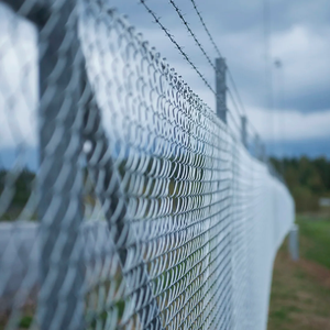 Valla de Seguridad de Hierro Galvanizado con Visión Clara y Anti-Escalada para Uso en Fronteras, Aeropuertos, Prisiones y Ranchos, Ecológica - Product Image 2