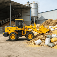 Pala Gommata da 16 Tonnellate con Benna da 3 Metri Cubi per Lavori di Carico Materiali Voluminosi in Edilizia e Agricoltura