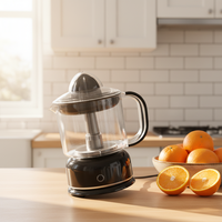 Elektrische draagbare citruspers blender 1200ml capaciteit AC motor stille multifunctionele milieuvriendelijke slowjuicer smoothie