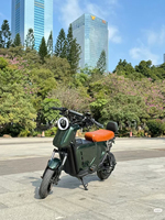 Moto électrique longue portée 3000W haute performance pour adultes, fabriquée en Chine