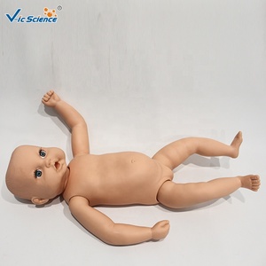 Modelo Anatómico <span class=keywords><strong>de</strong></span> <span class=keywords><strong>Esqueleto</strong></span> <span class=keywords><strong>de</strong></span> Bebé <span class=keywords><strong>de</strong></span> PVC Avanzado, Modelo Médico <span class=keywords><strong>Humano</strong></span> para Uso en Escuelas <span class=keywords><strong>de</strong></span> Medicina y Aulas - Product Image 3