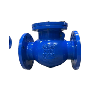 Van một chiều Nanhu DN100 Pn16 bằng gang đúc, dùng cho nước, dầu và các ứng dụng chung, gioăng cao su bền, bảo hành 24 tháng - Product Image 3