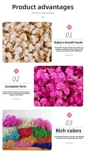 G180 Flores de Gypsophila Preservadas al por Mayor para Regalo de San Valentín, Flores Secas de Baby Breath, Baby Breath Preservado - Product Image 3