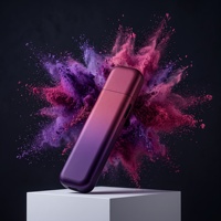 Accessoires pour tabac en stock dans l'entrepôt européen, livraison rapide, avec grand écran tactile numérique, allume-cigare USB à puissance réglable