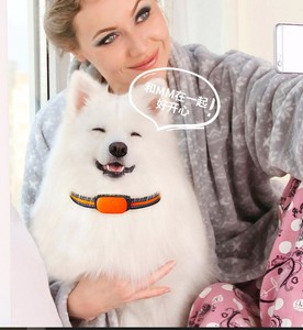 Theo Dõi Trực Tiếp Mô Hình Mới Nhất 4G Pet GPS Tracker Mini Thời Gian Thực GPS Theo Dõi <span class=keywords><strong>Chip</strong></span> - Product Image 5