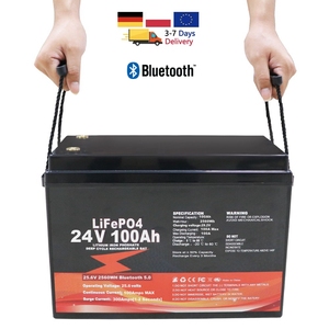Baterai Lithium 25.6V 600Ah 400Ah 300Ah 200Ah LiFePO4 Penyimpanan Energi Rumah 24V Baterai Surya - Product Image 2