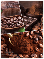 Machine automatique de traitement des grains de café, broyeur de cacao, machine à éplucher, éplucheur de fèves de cacao sèches