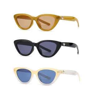 Designer Retro Candy Color Women Plastic Rectangle Sun Glasses 2023 Vintage Small Frame Cat Eye Sun Glasses