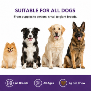 Friandises Apaisantes pour Chiens et Chats - Riches en Protéines, Soutien Immunitaire, Absorption Rapide, Santé Digestive - L-Théanine/Chamomille - Product Image 4