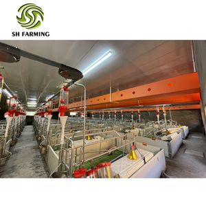 Yeni tasarım domuz farrowing kafesi hamile kafesleri hayvan kafesi - Product Image 1