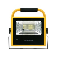 Projecteur de jardin mobile étanche IP54 en alliage d'aluminium certifié CE Ra80 8000K avec télécommande et recharge, durée de vie 50000 heures 850