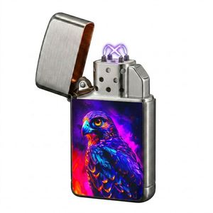 Falcon X Rechargeable 950mAh Type-C <b>Windproof</b> Flameless Plasma Ignition Electric <b>Lighter</b> for Outdoor and Cigarette Use - Product Image 1