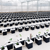 Sistem Ember Aeroponik Ramah Lingkungan Bebas BPA 5 Buah untuk Berkebun di Halaman Belakang dan Budidaya Tanaman Organik Berkelanjutan