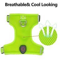 Harnais pour chien LED rechargeable personnalisé UMIONE, gilet réfléchissant pour animaux de compagnie, gilet de sécurité lumineux, plusieurs tailles