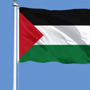 Hình Chữ Nhật Bên Ngoài Khâu Sọc Dệt Polyester In Ấn Palestine Nước Cờ Cho Palestinian Sự Kiện Nhanh Chóng - Product Image 4