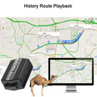Dernier modèle TKSTAR Winnes GPS TK935 Traceur GPS 4G LTE pour animaux de grande taille avec géolocalisation, gestion des animaux par GSM et visualisation sur PC, compatible GPS automobile