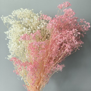 <span class=keywords><strong>ดอก</strong></span>ยิปโซฟิลลาเกรด AA คุณภาพส่งออกจากโรงงาน แบบช่อใหญ่ สี Stardust ฟอกขาว สำหรับจัดดอกไม้ - Product Image 1