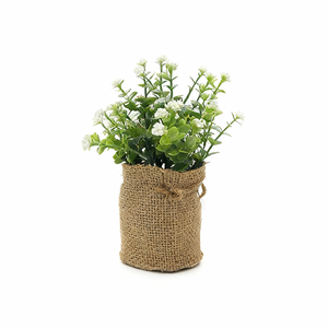 Feuilles d'eucalyptus <span class=keywords><strong>de</strong></span> haute qualité, souffle <span class=keywords><strong>de</strong></span> bébé, dans un sac en <span class=keywords><strong>toile</strong></span> <span class=keywords><strong>de</strong></span> <span class=keywords><strong>jute</strong></span>, plantes en pot à feuilles persistantes pour la décoration intérieure <span class=keywords><strong>de</strong></span> bureau - Product Image 4