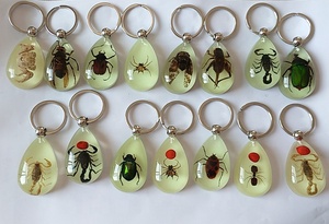 Portachiavi ambra con insetti veri luminosi di grandi dimensioni con scorpione - Product Image 2