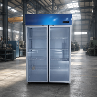 Réfrigérateur vertical commercial 850L à 2 portes, refroidissement direct et par air, dégivrage automatique, haute qualité, pour boissons