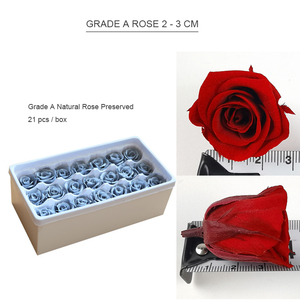Rosas Eternas Preservadas, 21 Piezas, Venta al por Mayor, Rosas de Grado A Permanentes, 2-3 cm, Rosas Preservadas de Tacto Real - Product Image 6