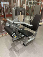 ST-3029 Appareil de musculation professionnel pour soulevé de cuisse assis et extension de cuisse, à charge par poulies en acier, pour salle de sport