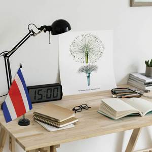 Bandera de Costa Rica de 14x21cm con Base para Decoración de Mesa o Escritorio, Nuevas Tendencias al por Mayor - Product Image 6