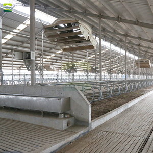 Proyecto Llave en Mano para Granja Lechera de 2000 Cabezas, Salas de Ordeño Automáticas en Espiga, Equipo para Establos <span class=keywords><strong>Holstein</strong></span>, Granja Excelente - Product Image 4