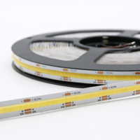 Bande lumineuse LED RGBIC Dreamcolor Flex COB Stripe tira de luces Adressable Programmable 12 24 volts Digital RGB IC