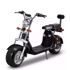 สกู๊ตเตอร์ไฟฟ้า Citycoco ยางอ้วน 10 นิ้ว กำลังมอเตอร์ 1500 วัตต์ ขายดีในยุโรป พร้อมใบรับรอง EEC - Product Image 4