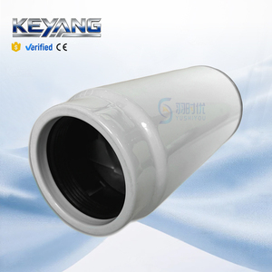 Filtro de Combustível para Motor Diesel de Alta Qualidade com Preço de Fábrica, Separador de Água PL420 PL270 K1006520, Atacado com Alta Filtração - Product Image 3