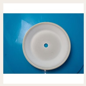 Plaque de couverture en céramique Mattson Paradigm E 1 - Product Image 4