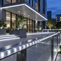 Bande lumineuse LED NEXCELL 6500K blanc froid pour chantier, rouleau de 50 m, éclairage flexible haute tension