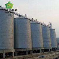 Sistema di Silos per Grano, Mais, Soia e Cereali con Zincatura a Caldo