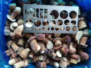 Sinocharm, precio de fábrica, marcas OEM, Wild Porcini, IQF, Frozen, <span class=keywords><strong>Boletus</strong></span> <span class=keywords><strong>Edulis</strong></span> - Product Image 5