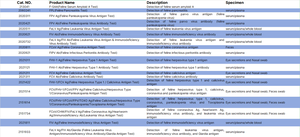 Terjangkau CHW Kanin <span class=keywords><strong>Heartworm</strong></span> <span class=keywords><strong>Antigen</strong></span> tes <span class=keywords><strong>kit</strong></span> dokter hewan digunakan untuk diagnostik anjing - Product Image 4