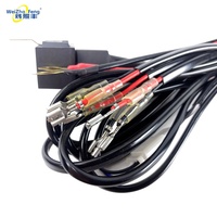 Kit de Cableado Profesional de Alta Resistencia con Portafusibles Impermeable e Interruptor para Cable de Alimentación de Iluminación Automotriz