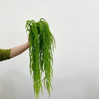 Tanaman gantung buatan berbentuk rambut willow, tanaman air mata kekasih, cabang panjang, latar belakang mawar, bahan bunga pernikahan, tanaman gantung dinding