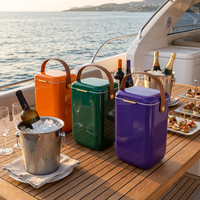 Glacière de luxe compacte 10L pour boissons, idéale pour le camping, le plein air, le vin, en plastique, métal ou acier
