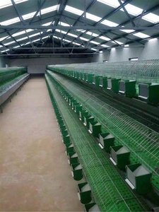 Cages <span class=keywords><strong>à</strong></span> lapins industrielles pour élevage commercial, <span class=keywords><strong>2</strong></span> <span class=keywords><strong>étages</strong></span>, avec loquets, en plastique et acier galvanisé, faciles <span class=keywords><strong>à</strong></span> nettoyer - Product Image 2