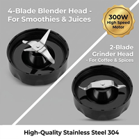 Blender personnel 300W pour smoothies et shakes, vente en gros, sans BPA, gobelets Tritan, CE LFGB