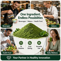 Poudre de chou frisé lyophilisée 100% pure naturelle, superaliment vert de qualité alimentaire, vente en gros, sans OGM, complément alimentaire, directement de l'usine