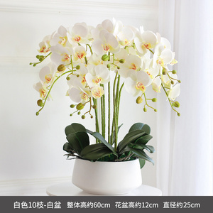 Venta al por mayor de alta calidad decoración del hogar jarrón planta de seda <span class=keywords><strong>blanca</strong></span> en maceta flores artificiales Phalaenopsis orquídea púrpura con maceta - Product Image 2
