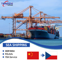 Spedizioniere Aereo Economico, Servizio di Logistica Internazionale, Trasporto Merci Cina-Repubblica Ceca, Agente di Spedizione LCL+Trasporto su Strada, DDP 24/7