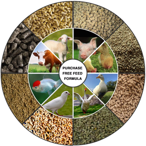 Nhỏ và vừa có kích thước đậu nành bữa ăn Thức ăn viên Máy cám lúa mì Thức ăn viên <span class=keywords><strong>Mill</strong></span> Ngô rơm Thức ăn viên <span class=keywords><strong>Mill</strong></span> - Product Image 5